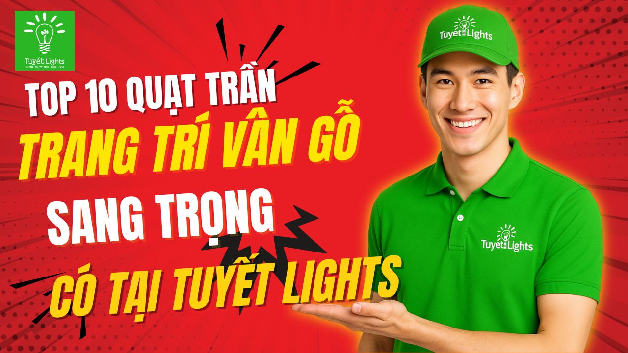 TOP 10 QUẠT TRANG TRÍ VÂN GỖ SANG TRỌNG CÓ TẠI TUYẾT LIGHTS